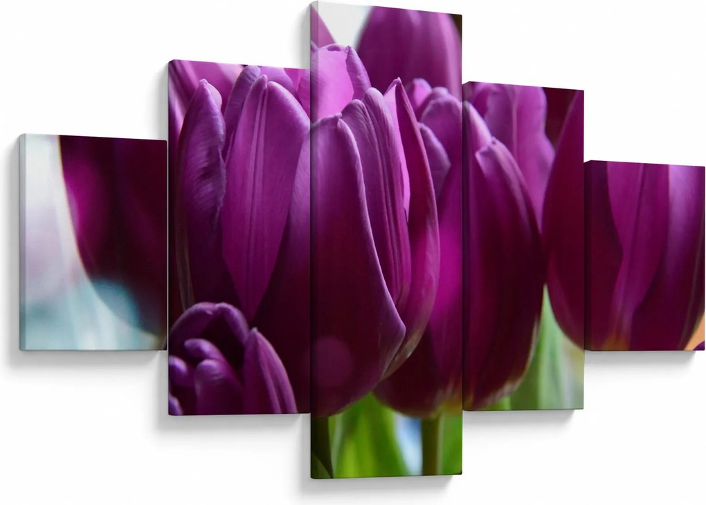 Obraz tulipanów (125x70 cm)
