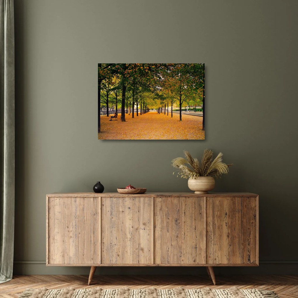 Obraz na szkle - aleja jesiennych drzew (70x50 cm)