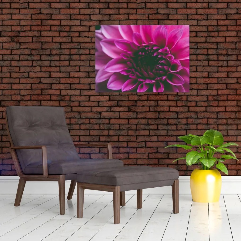 Obraz na szkle - różowy kwiat róży (70x50 cm)