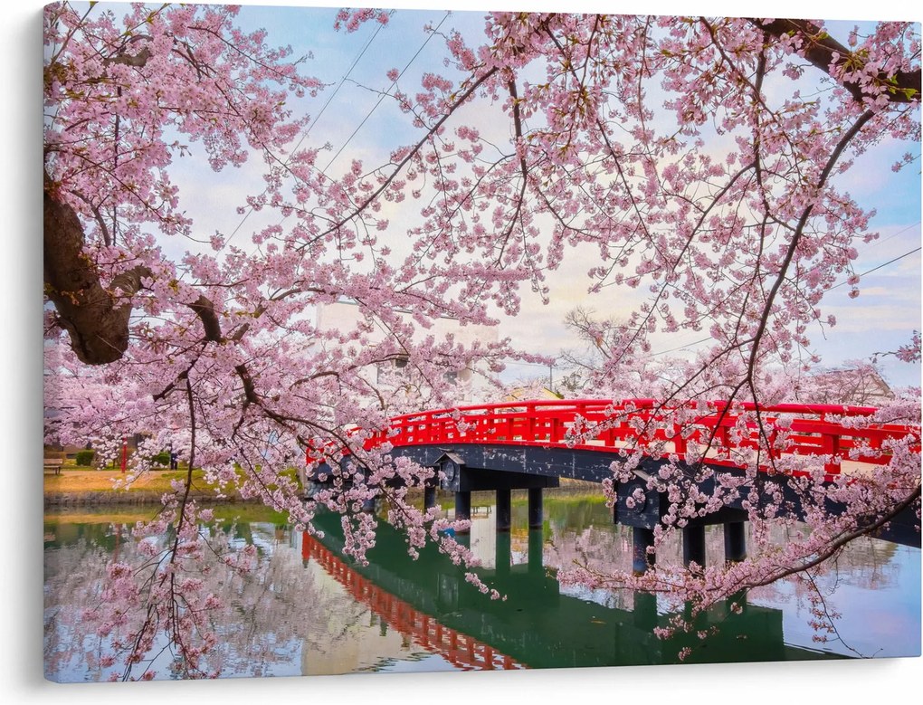 Obraz - Hirosaki, Japonia (70x50 cm)