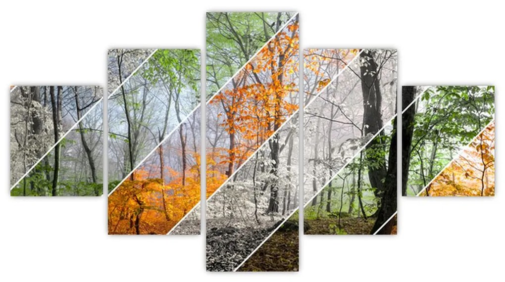 Obraz - Zmieniające się pory roku (125x70 cm)