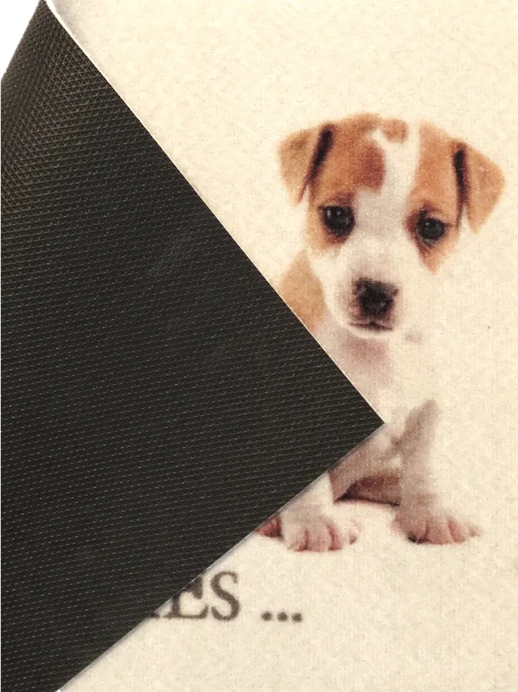 Wycieraczka Deco Star My Puppies 50 cm x 80 cm