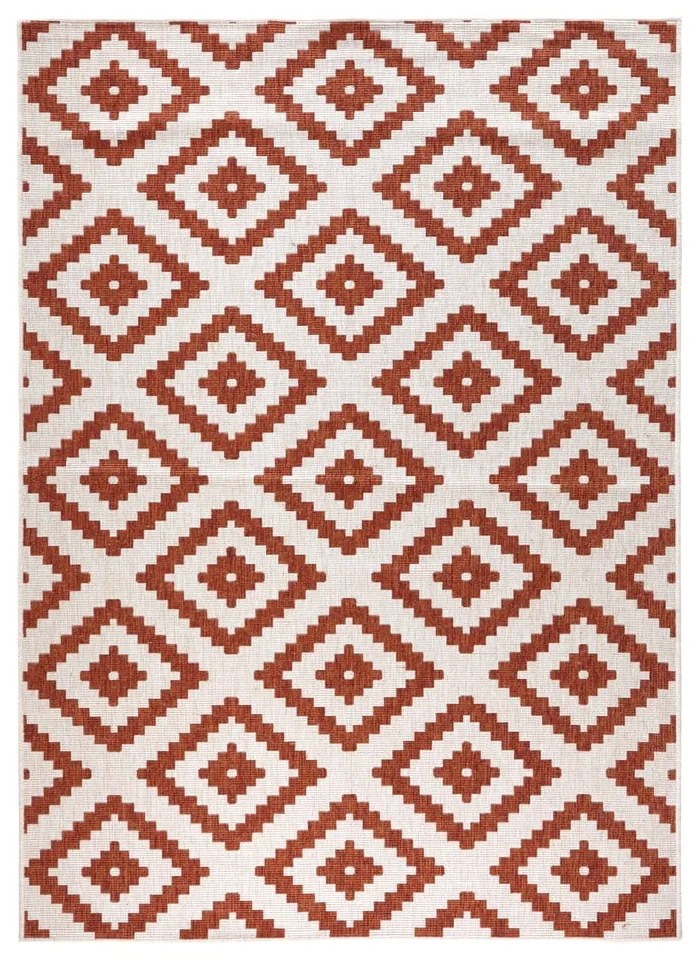 Brązowo-kremowy chodnik odpowiedni na zewnątrz NORTHRUGS Malta, 80x150 cm