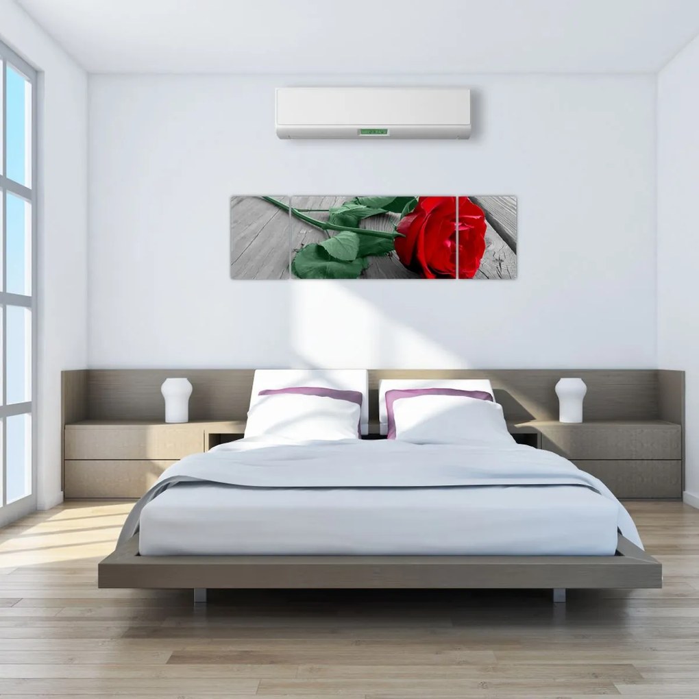Obraz - Czerwona róża z zieloną łodygą (170x50 cm)