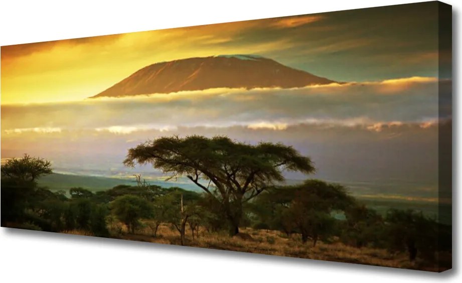 Obraz na płótnie Drzewo na Górskim Szczycie