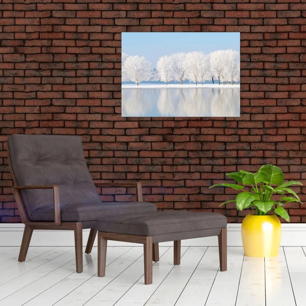 Obraz zimowego krajobrazu (70x50 cm)