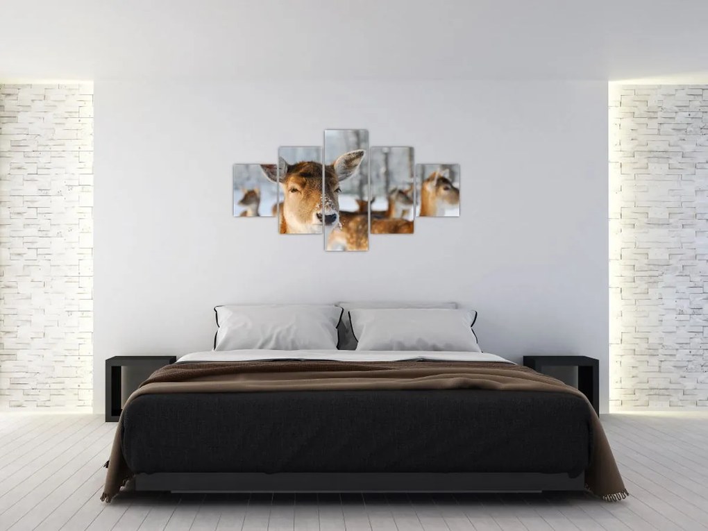 Obraz - Jelonki (125x70 cm)