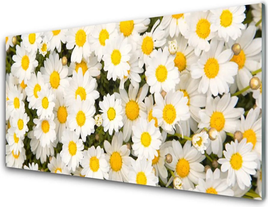 Panel Szklany Białe Stokrotki w Trawie