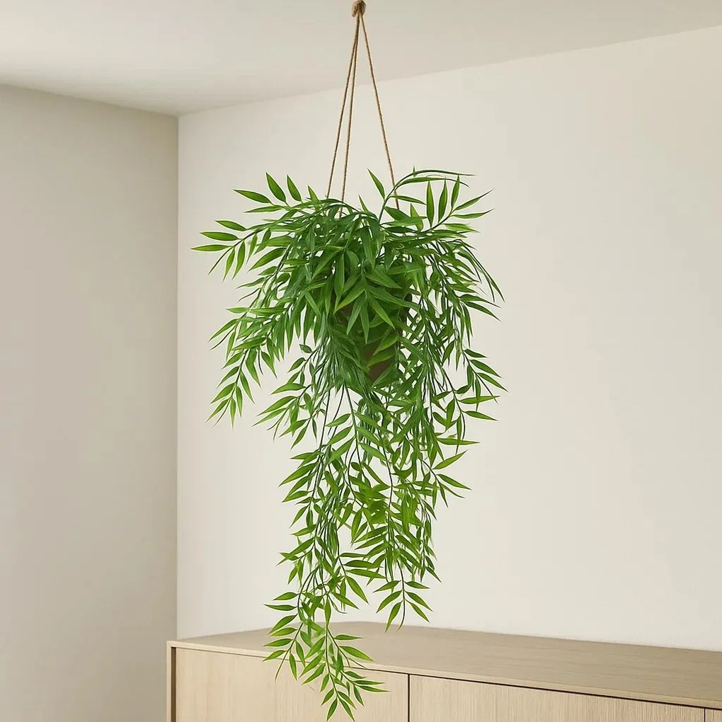 Bambus wiszący w doniczce LIORA, 67 cm
