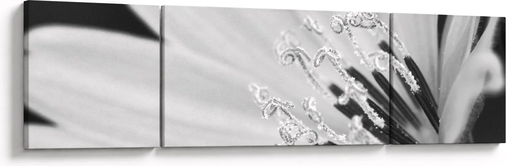 Obraz - Czarno-biały kwiat (170x50 cm)