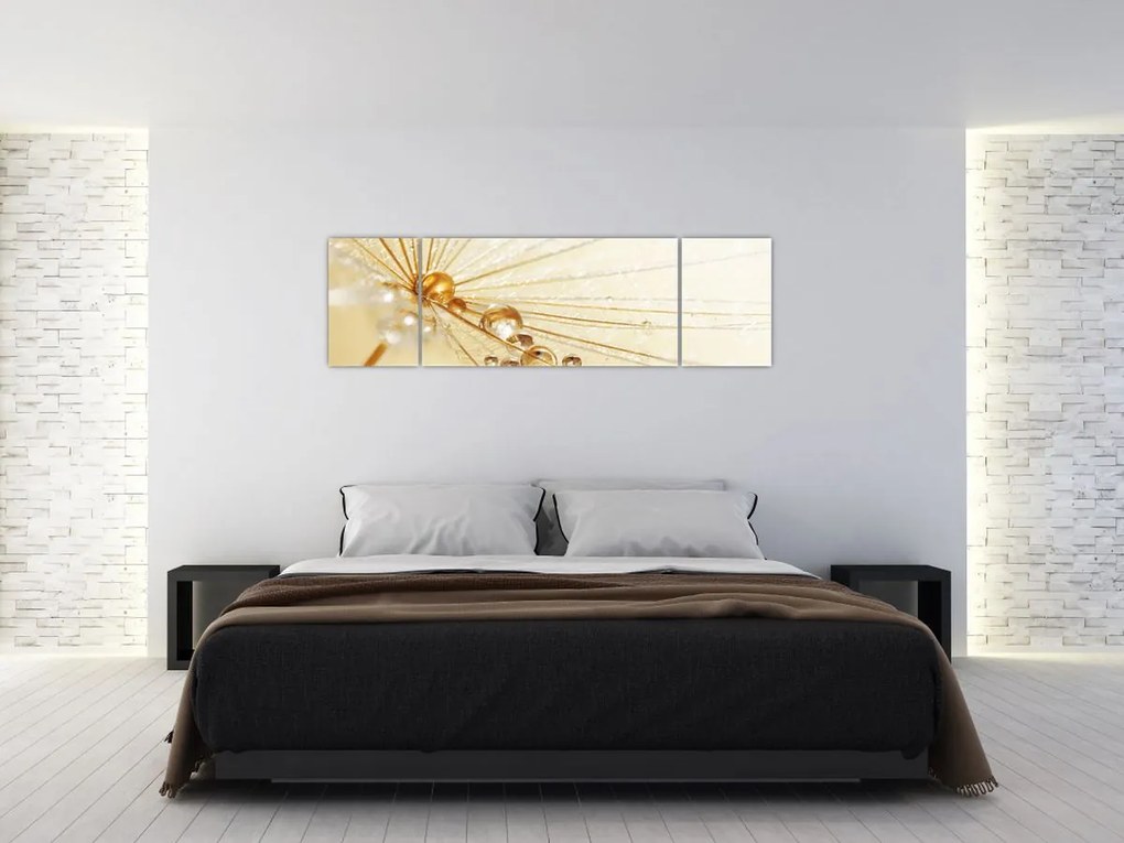 Obraz - Zdjęcie makro mniszka lekarskiego (170x50 cm)