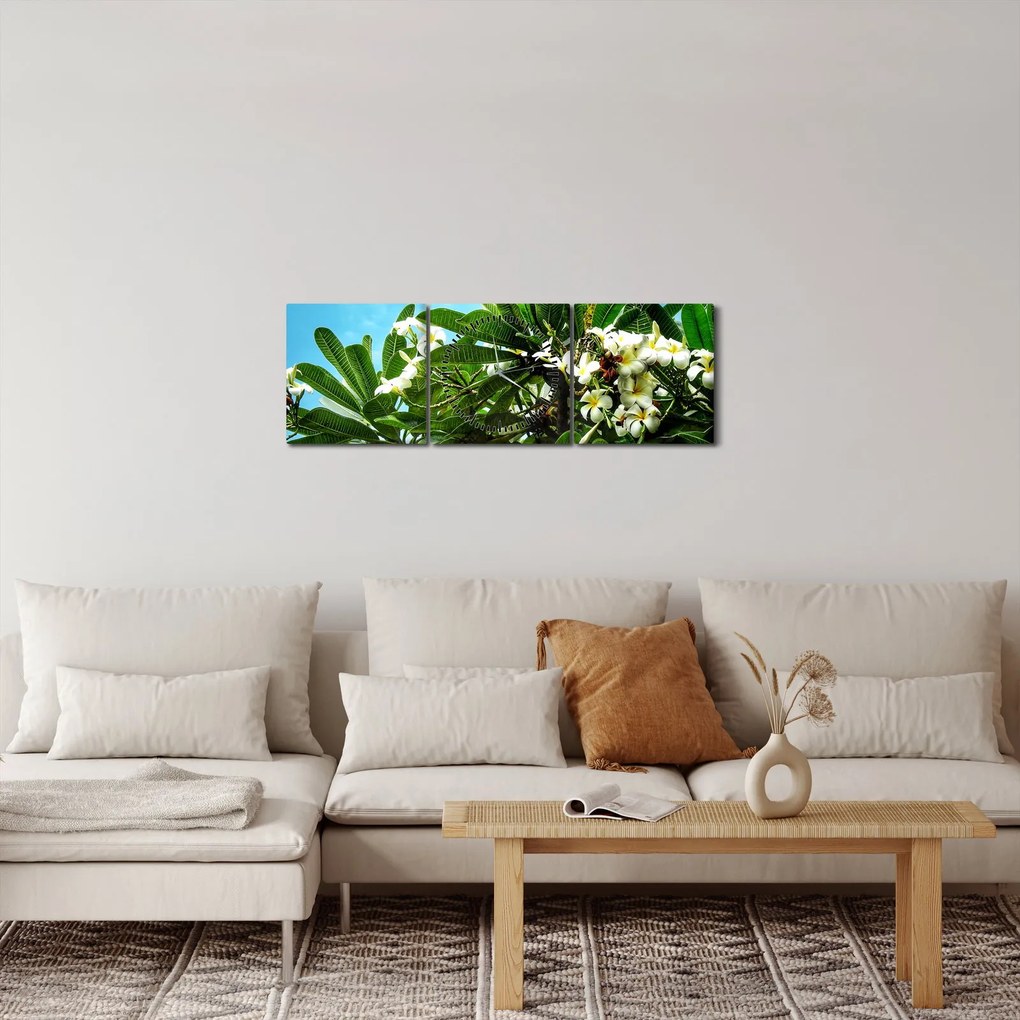 Obraz - Plumeria (z zegarem) (90x30 cm)