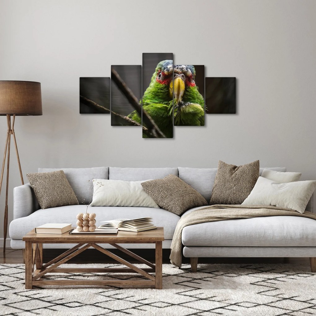 Obraz papugi (125x70 cm)