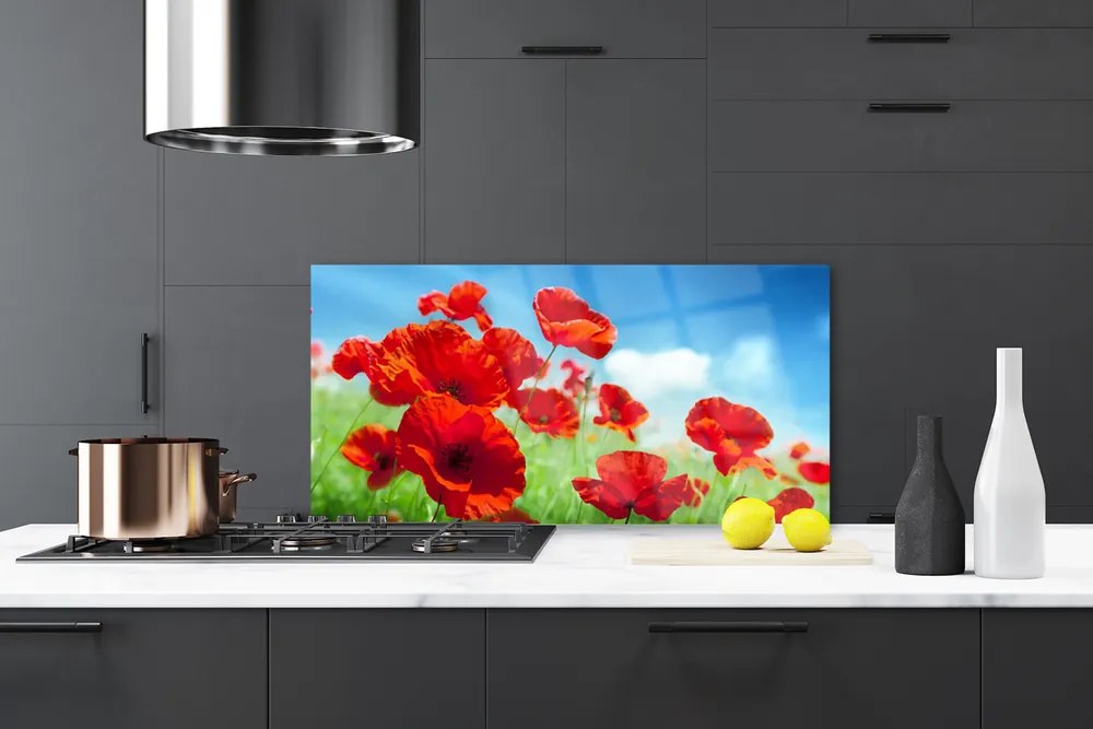 Panel Szklany Maki w Porannej Rosie