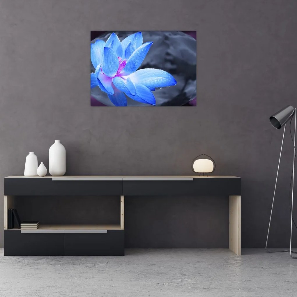Obraz na szkle szczegółu kwiatu (70x50 cm)