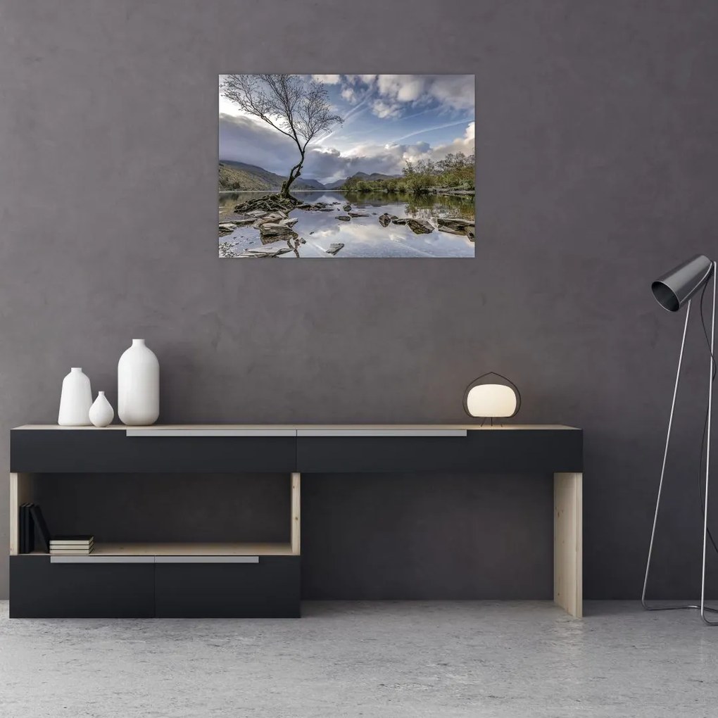 Obraz rzeki z drzewem (70x50 cm)