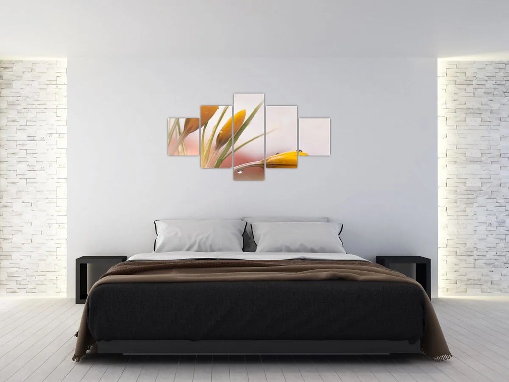 Obraz - Wiosenne kwiaty (125x70 cm)