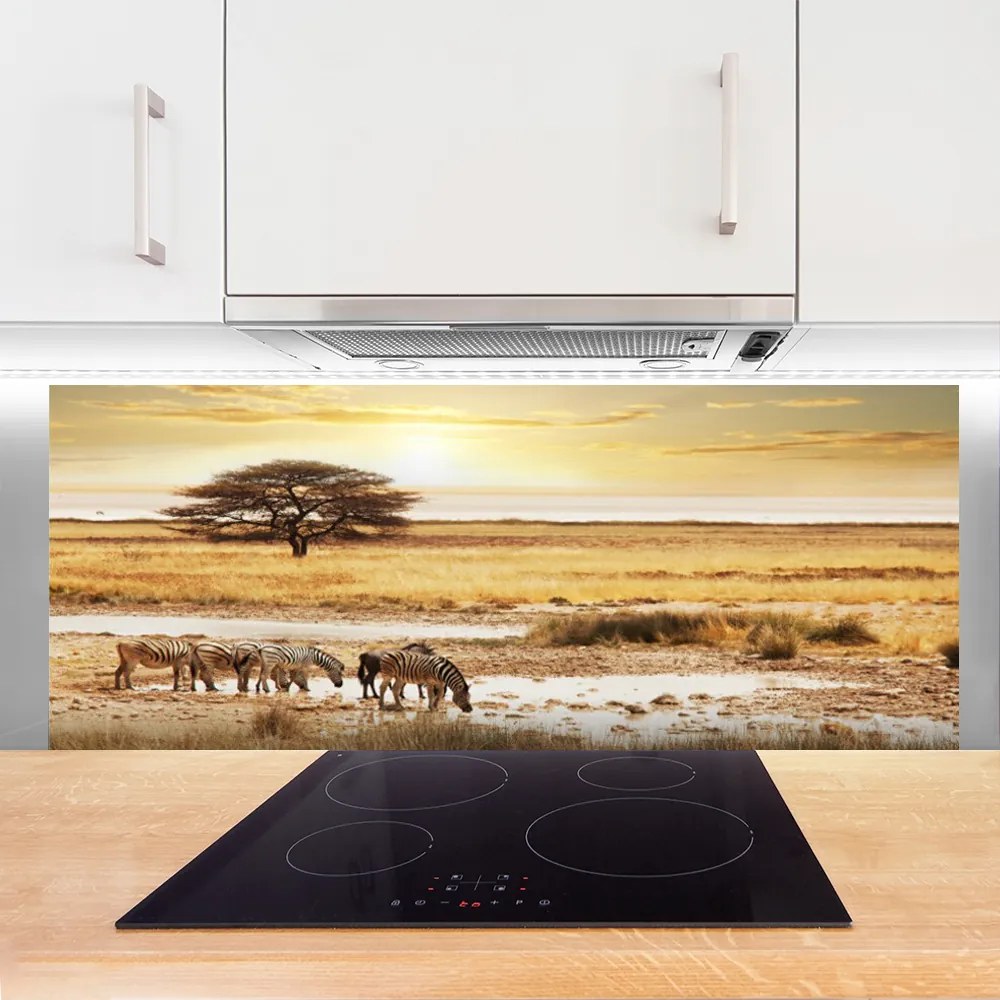 Panel Kuchenny Zebry Na Afrykańskiej Sawannie