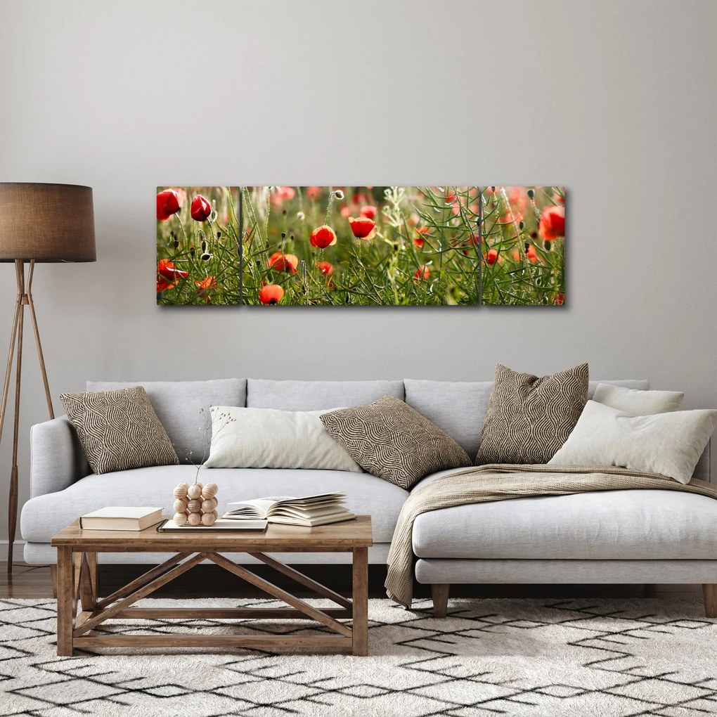 Obraz maków (170x50 cm)