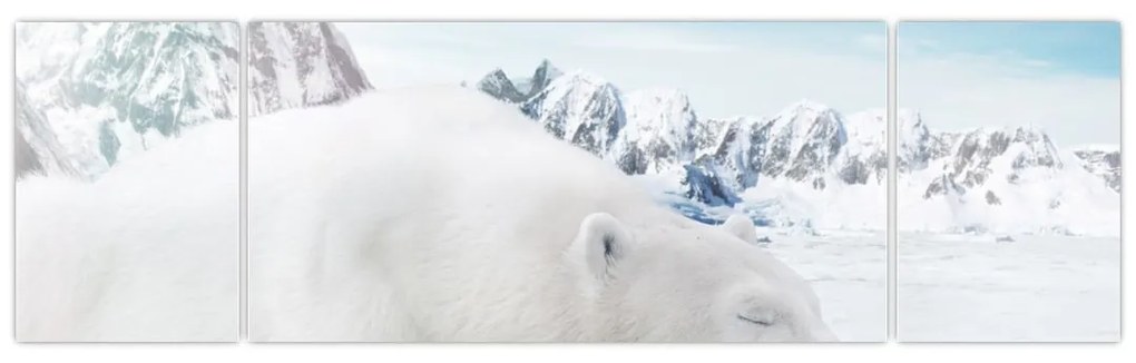 Obraz - Niedźwiedź polarny (170x50 cm)