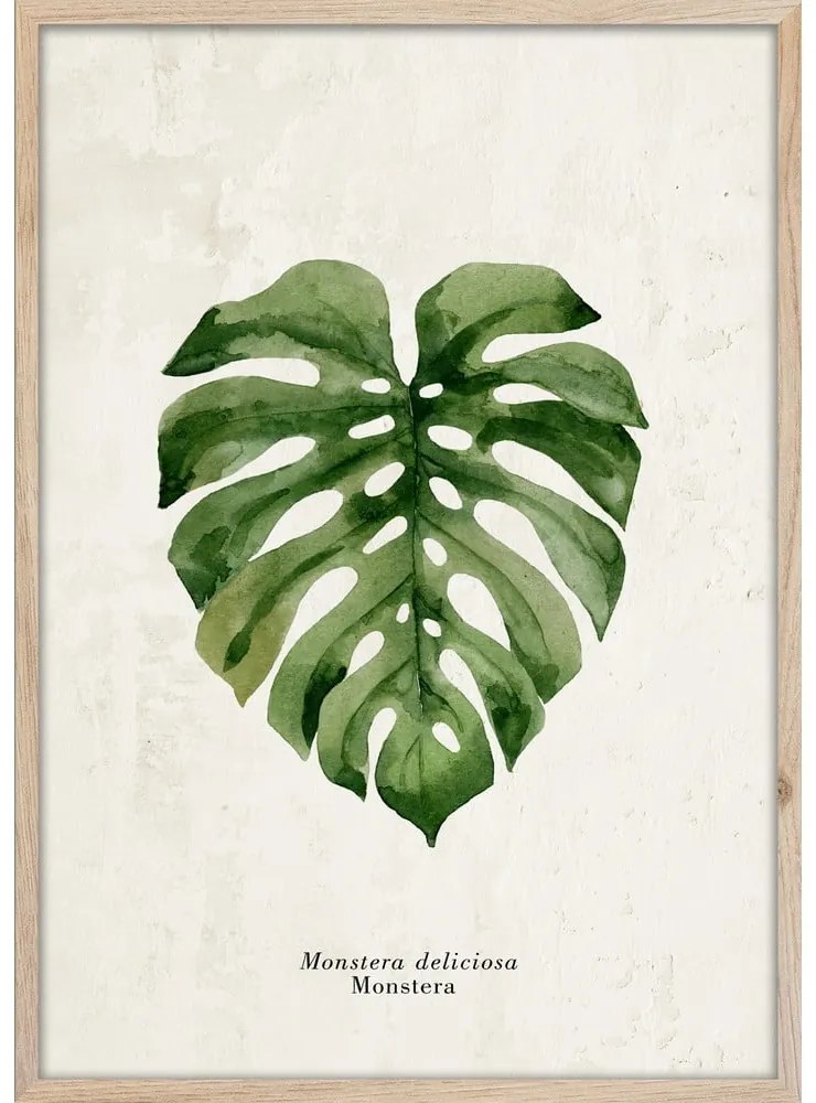 Obraz 50x70 cm Monstera – Styler