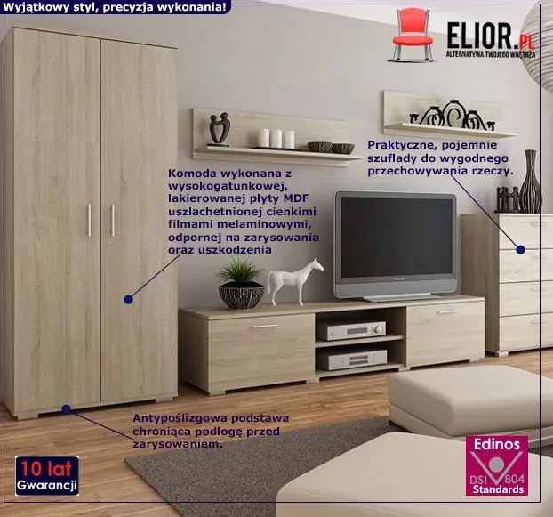 Meblościanka komplet mebli do salonu z szafą dąb sonoma L1-F48