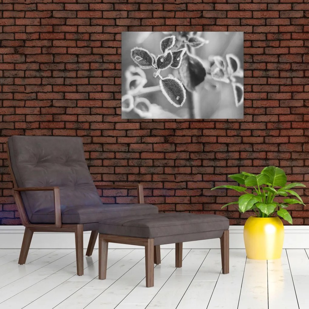 Obraz na szkle - Przyroda jesienią (70x50 cm)