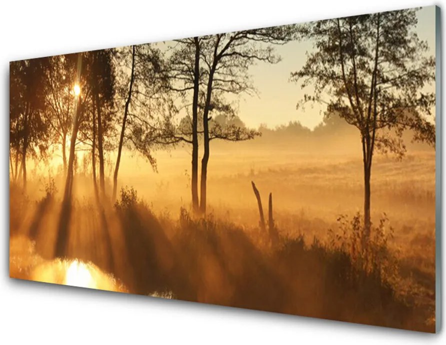 Panel Kuchenny Leśna Gęstwina Drzew