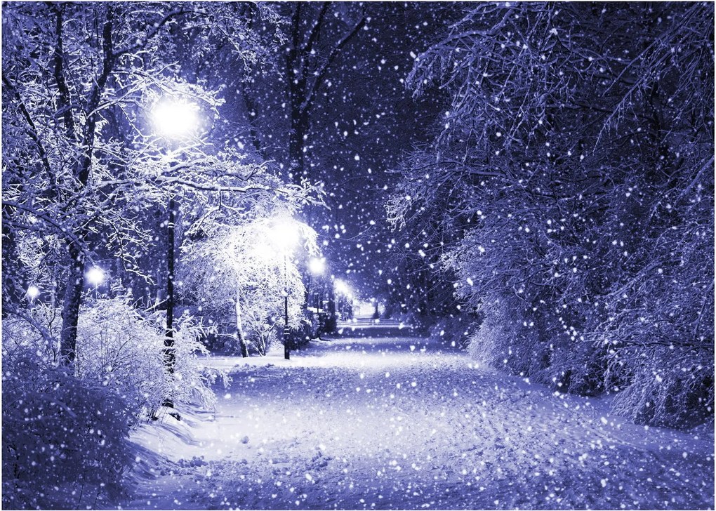 Obraz na szkle - Magiczna zimowa noc (70x50 cm)