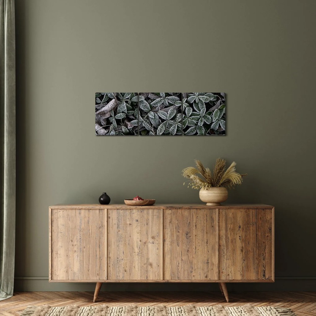 Obraz - Zamrożone rośliny (z zegarem) (90x30 cm)