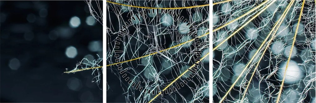 Obraz - Kwiat z pajęczyną (z zegarem) (90x30 cm)