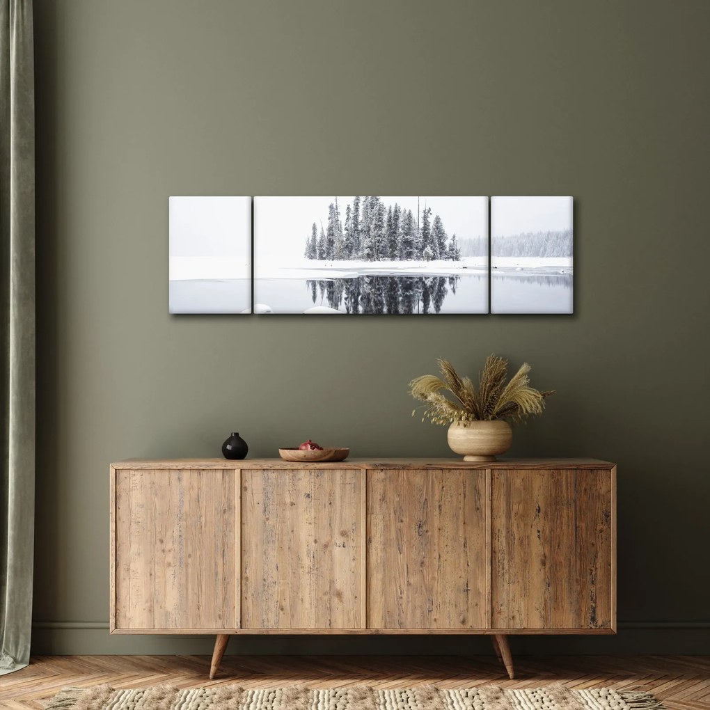 Obraz - Było biało (170x50 cm)