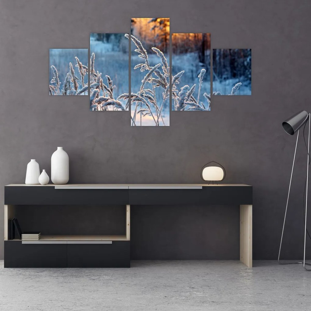Obraz - Zimowa łąka (125x70 cm)