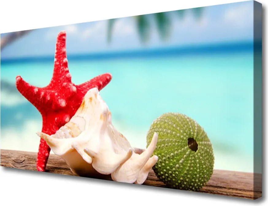 Obraz na płótnie Skarby Oceanicznej Głębi