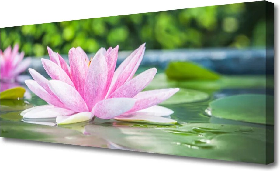 Obraz canvas Kwiat Lotosu na Lustrze Wody