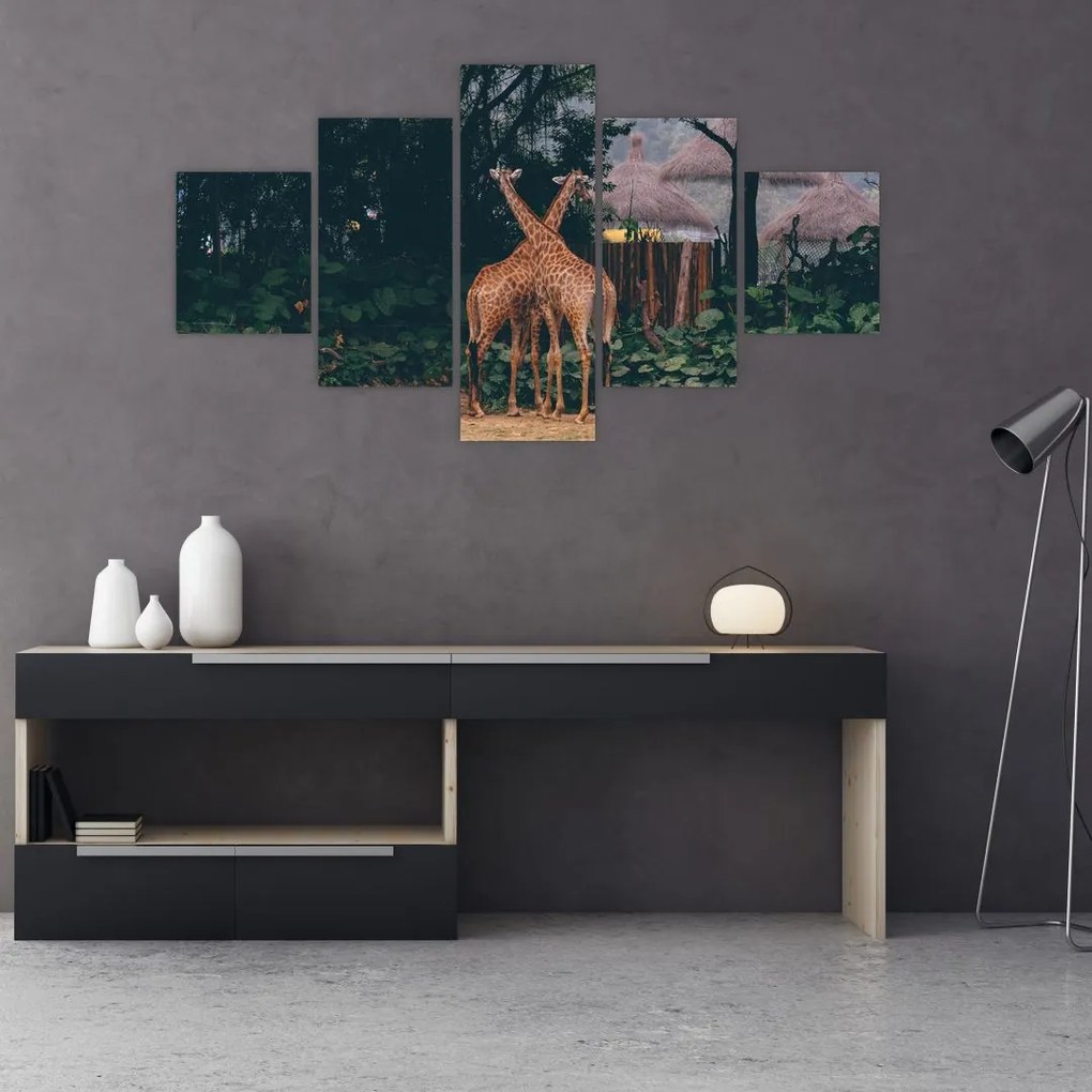 Obraz dwóch żyraf (125x70 cm)