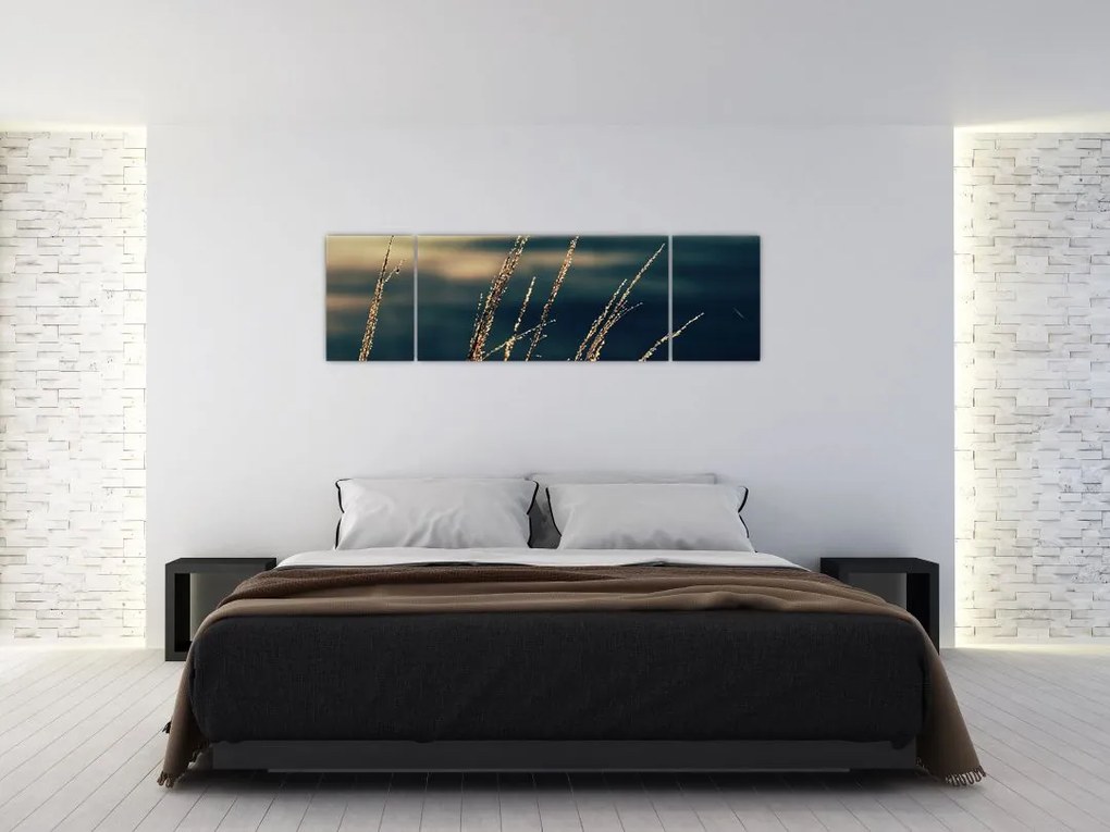Obraz traw (170x50 cm)