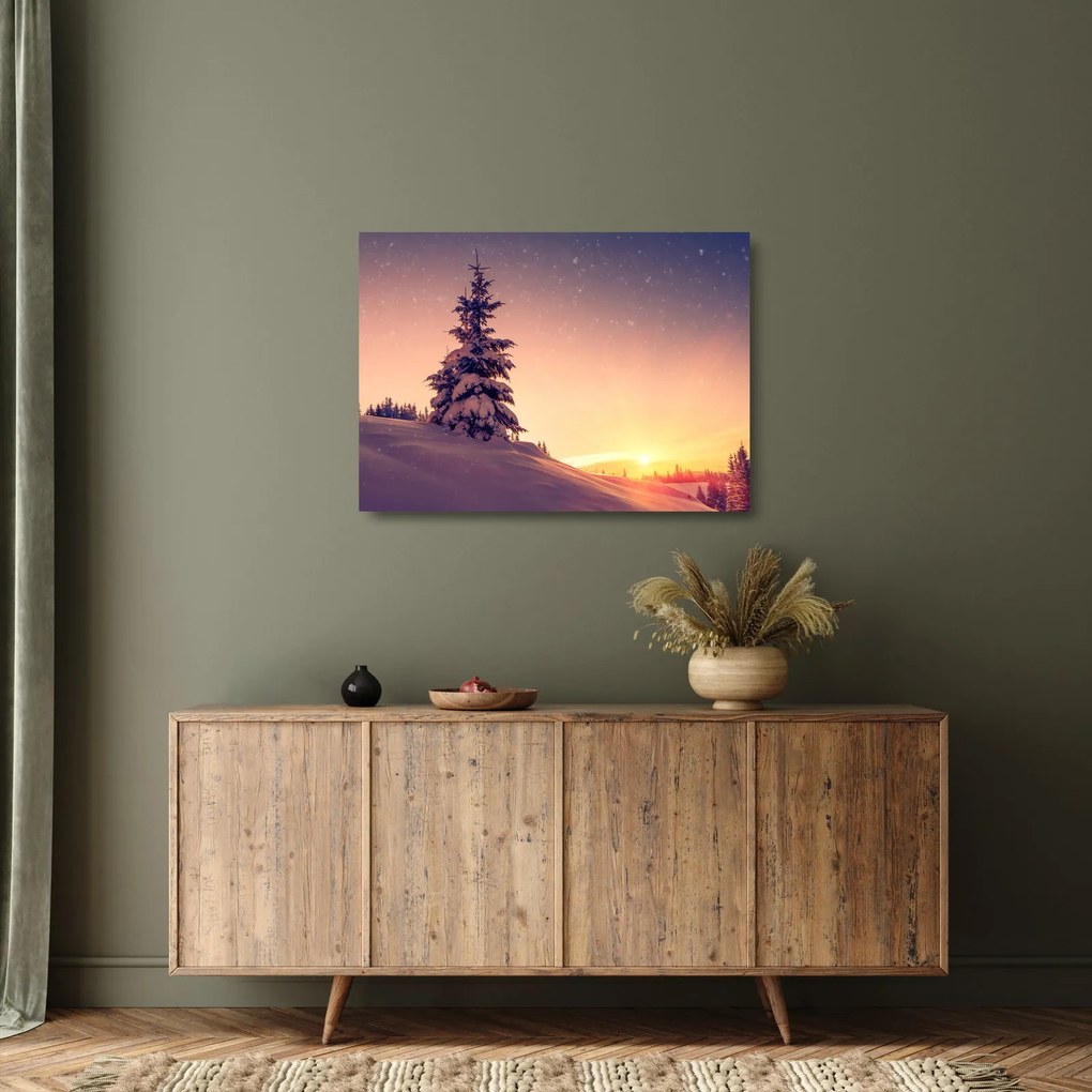Obraz na szkle - ośnieżone drzewo na łące (70x50 cm)