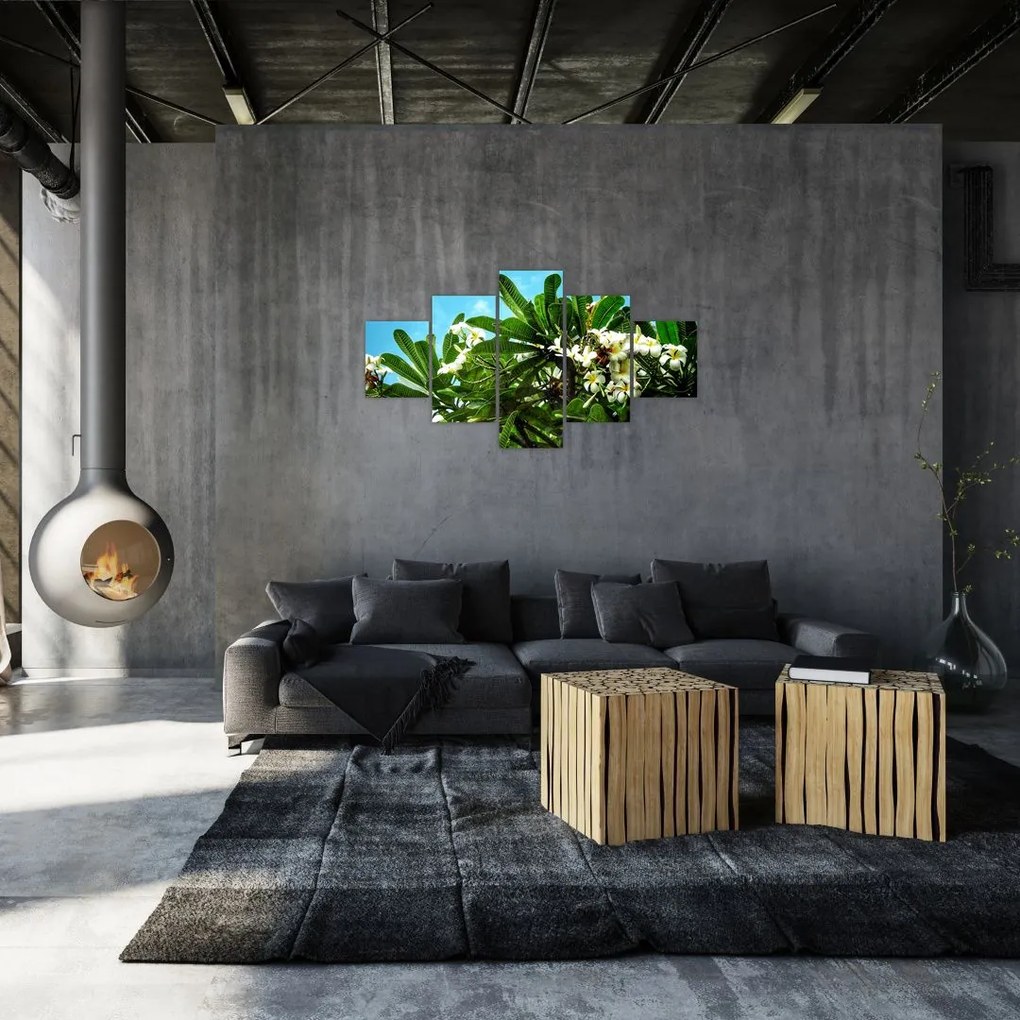 Obraz - Plumeria (125x70 cm)