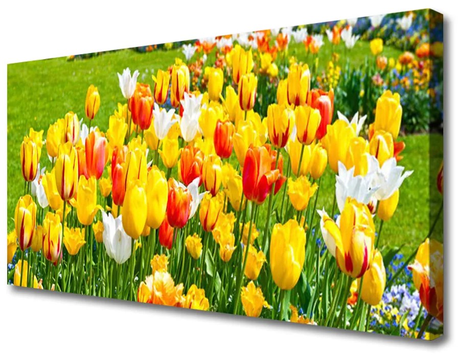 Obraz Canvas Tulipany Kwiaty Natura