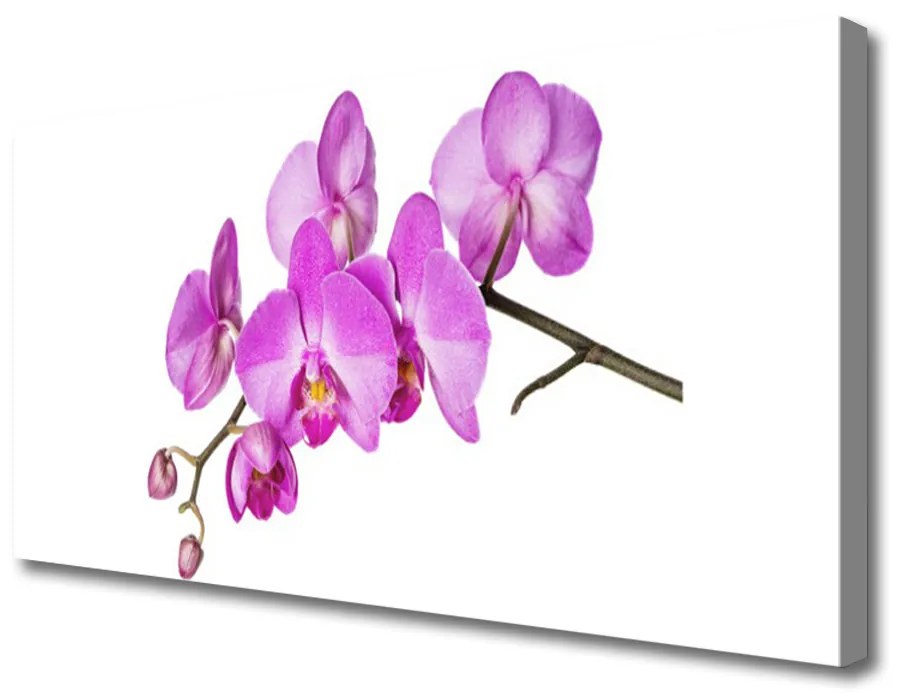 Obraz Canvas Storczyk Orchidea Kwiaty