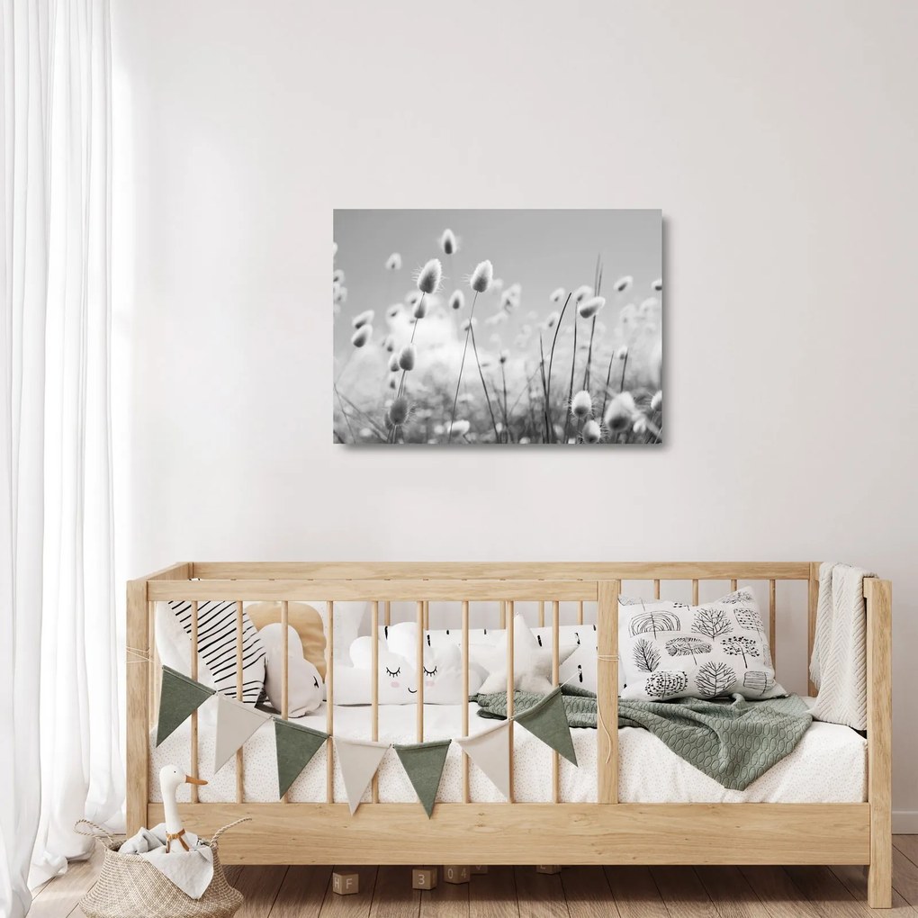 Obraz na szkle - Trawa z ogonkiem króliczka Boho (70x50 cm)