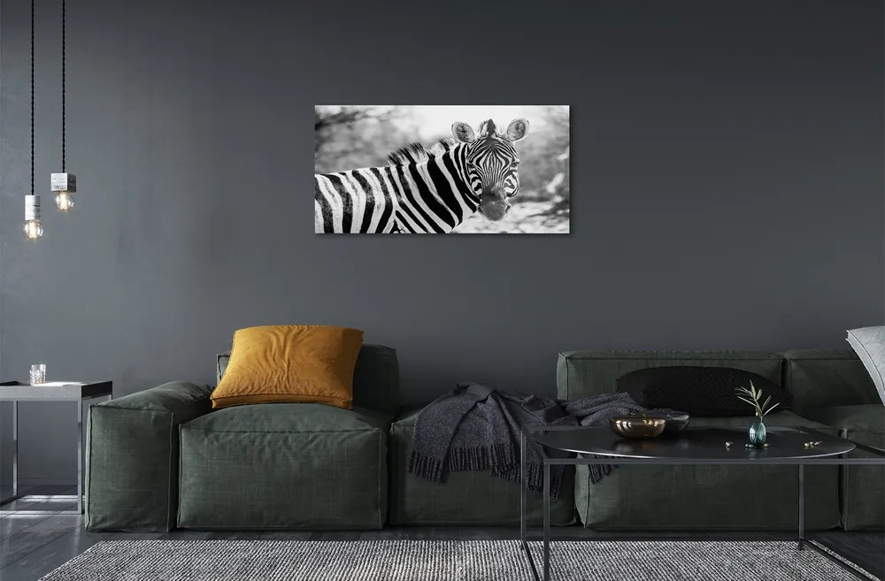 Obraz akrylowy Retro zebra