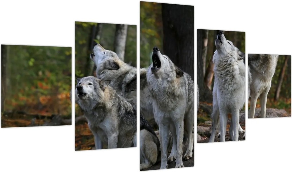 Obraz - Wilki na skale (125x70 cm)