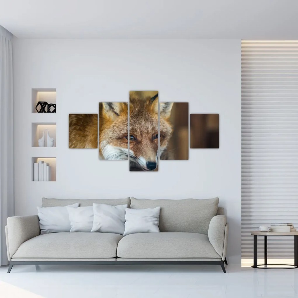 Obraz lisa (125x70 cm)