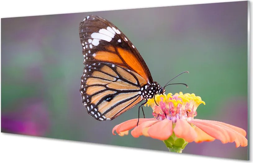 Panel Szklany Detal: Motyl i Kwiat