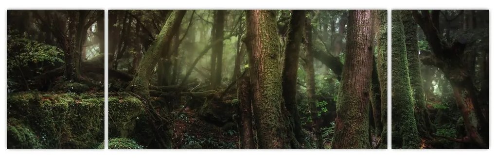 Obraz - Tajemniczy las (170x50 cm)