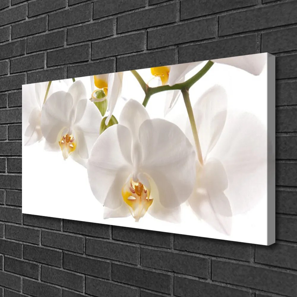 Obraz canvas na ścianę Egzotyczna Orchidea w Detalu