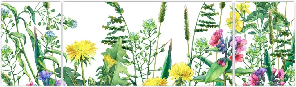 Obraz - Malowane kwiaty łąkowe (170x50 cm)