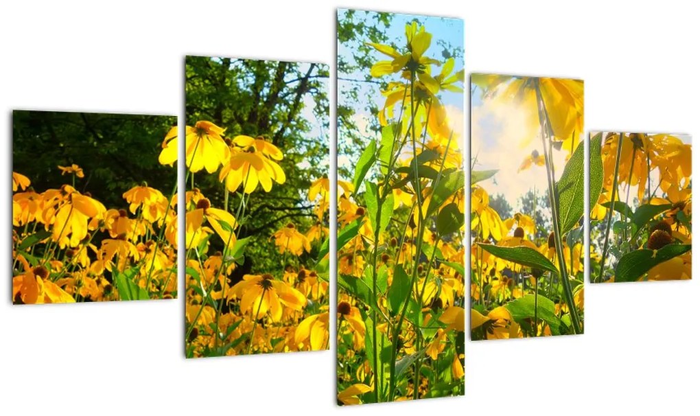 Obraz żółtych kwiatów (125x70 cm)